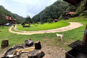 Caba&ntilde;as &ldquo;Las Ovejas&rdquo;