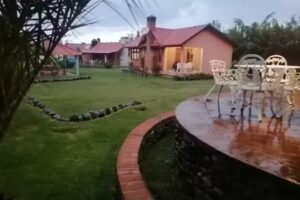 Cabañas Las Palmeras