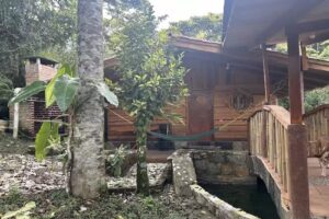 Cabañas Los Cedros Cuetzalan