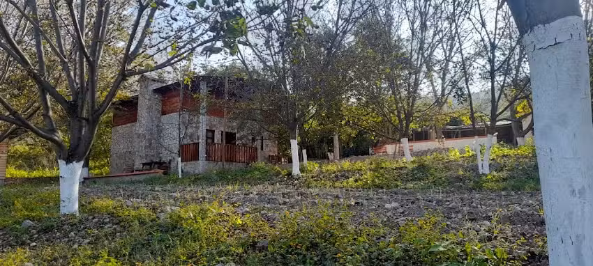 Caba&ntilde;as Los Nogales