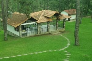 Caba&ntilde;as Los Reyes