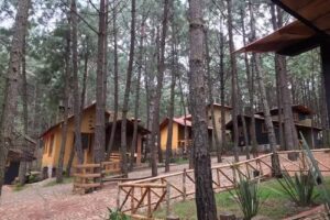 Cabañas Quinta de Cuevas