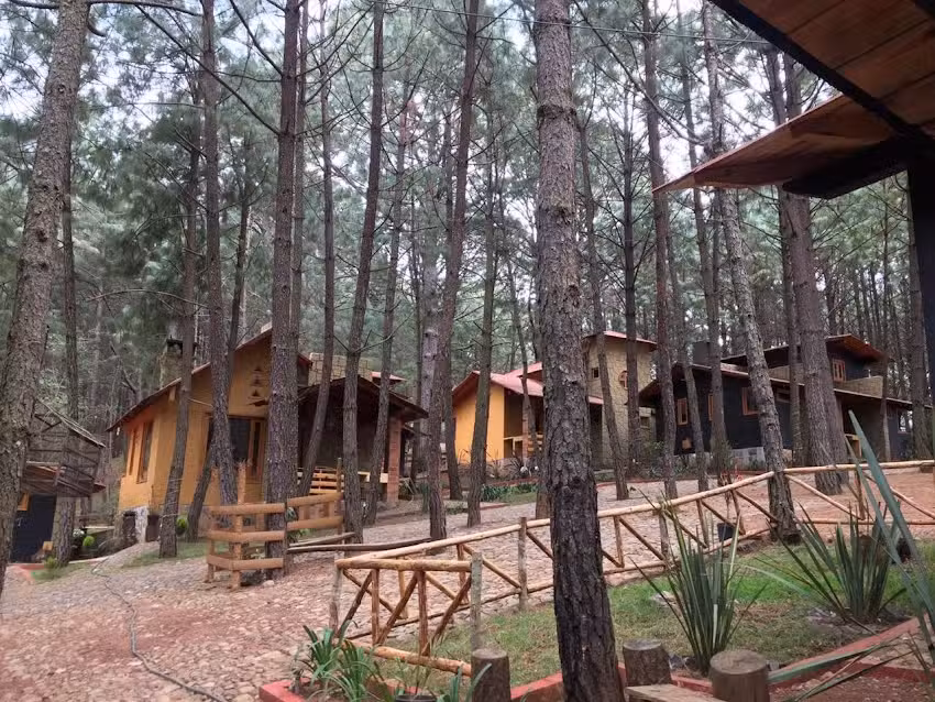 Caba&ntilde;as Quinta de Cuevas