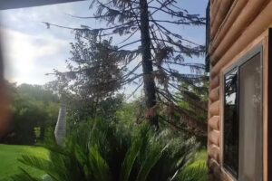 Caba&ntilde;as R&iacute;o Pil&oacute;n