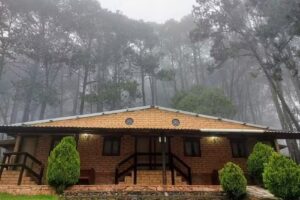 Cabañas Spa Campo Alegre