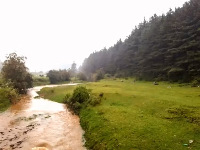 Caba&ntilde;as Tia Chofi