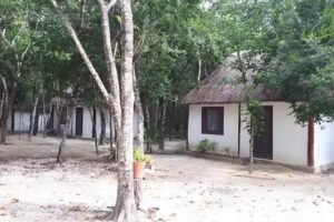 Caba&ntilde;as y Camping Yaxmuul