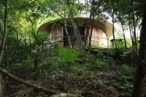 Camino M&aacute;gico