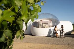 Campera Hotel Burbuja | Valle de Guadalupe