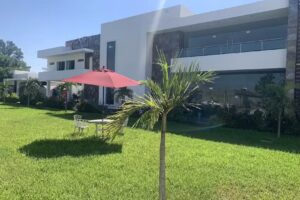 Campestre &aacute;lamo