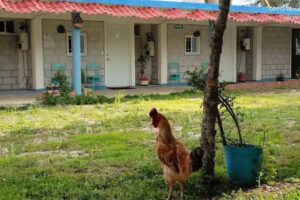 Campestre San Román