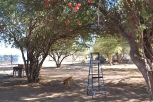 Campestre Vargas Camarena