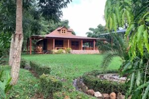 Campi&ntilde;a Coc&oacute;