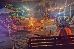 Cámping and Glamping tortuga carey