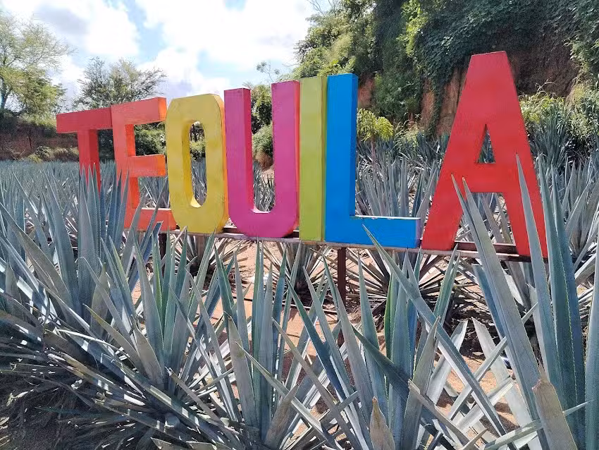 Campo agave la escondida visit tours