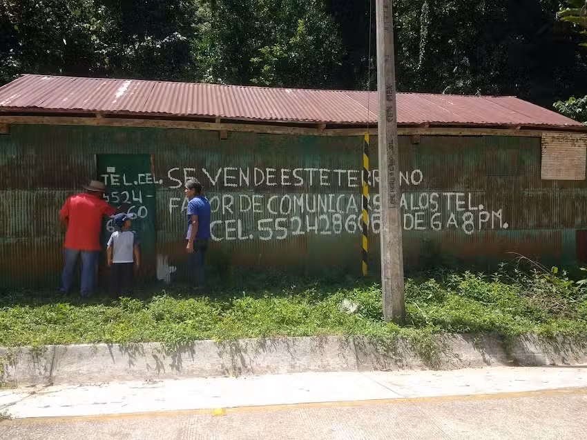 Ca&ntilde;ada de Mamey