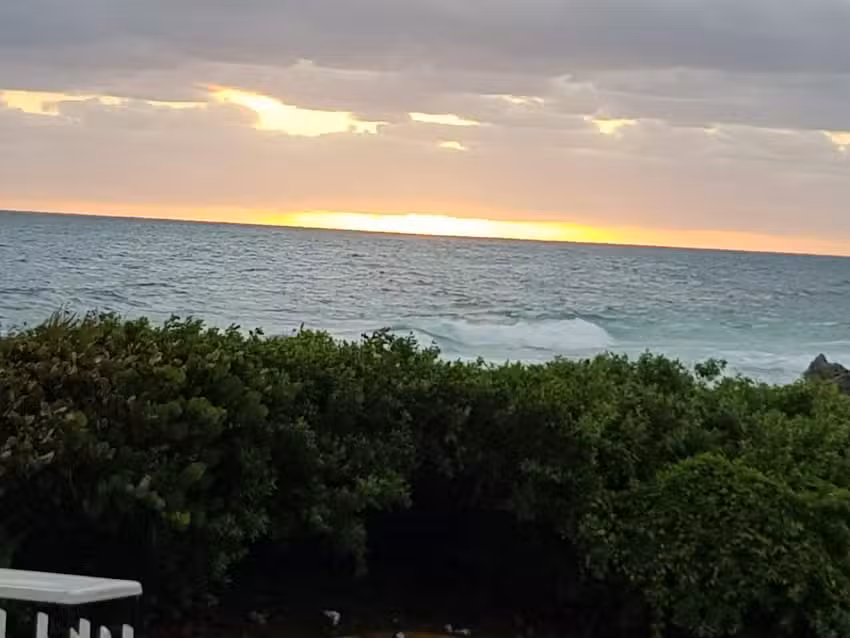 Caribean Jireh