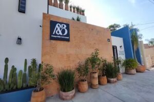 Casa Aceves & Bueno Hotel Boutique