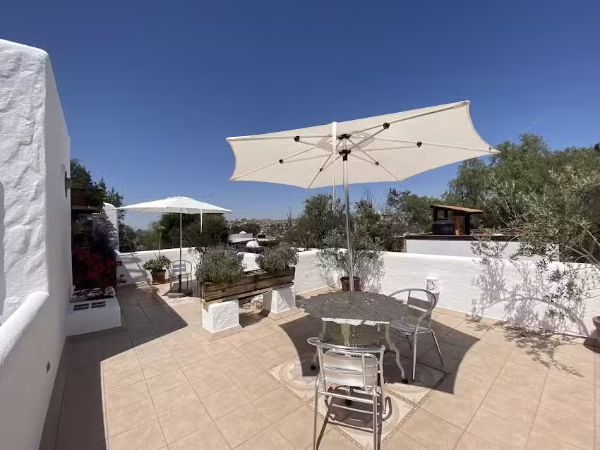 Casa &Aacute;rbol