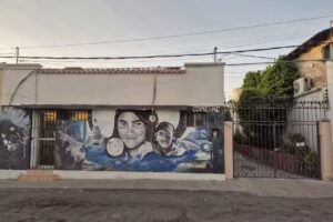 Casa Cact&aacute;cea HMO