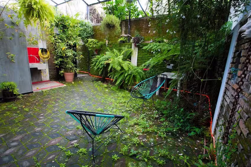 Casa Colibri Americana (Dabitson)