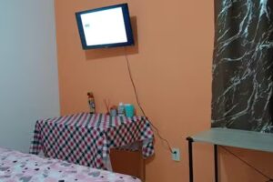 Casa 🏡 de las palmeras 2