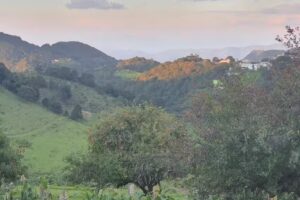 Casa del &Aacute;rbol & Casa Columba