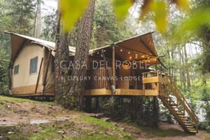 Casa del Roble Avandaro