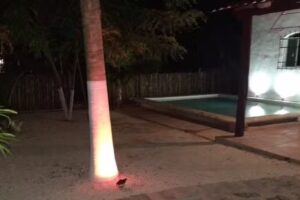 “Casa las Palmas” Tizimin