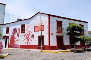 Casa Mam&aacute; Rosita