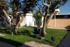 CASA MAYOR ESTANCIA PARA ADULTOS MAYORES