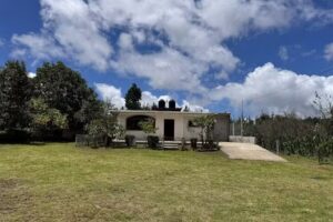 Casa rodeada de naturaleza