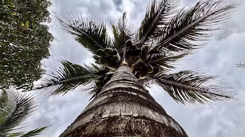 Casa San &Aacute;ngel