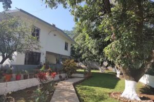 Casa Victoria Tamasopo