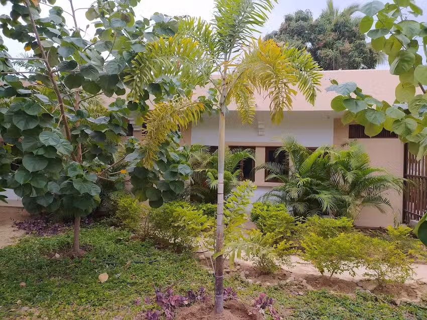 Casa Virginia&rsquo;s