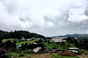 Cebollitas, Canelas Durango