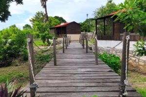 Centro Ecotur&iacute;stico El Hormiguero