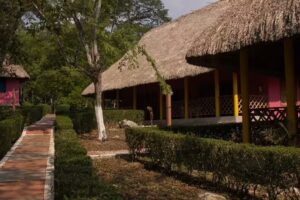 CENTRO ECOTUR&Iacute;STICO ESCUDO JAGUAR