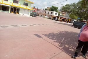 Chachalacas Jose Cardel