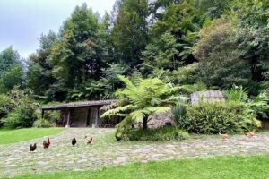 Citlalapa. Lugar m&aacute;gico