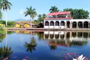 Club Primavera Hotel