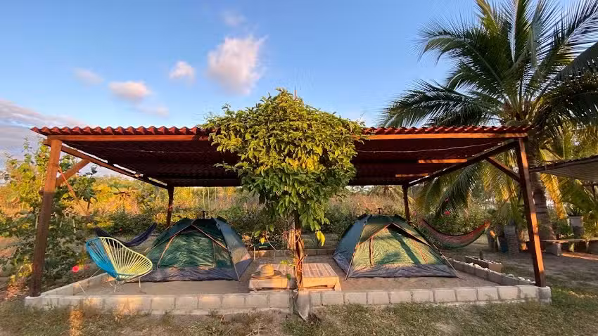 COCORICO OAXACA
