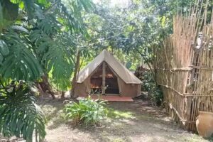 Cocuyo Glamping