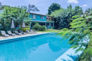Colibr&iacute; Turquesa Tepoztl&aacute;n