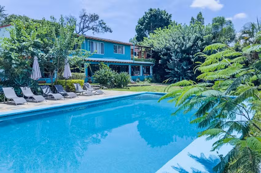 Colibr&iacute; Turquesa Tepoztl&aacute;n