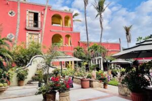 Collection O Casa Bella Hotel Boutique, Cabo San Lucas