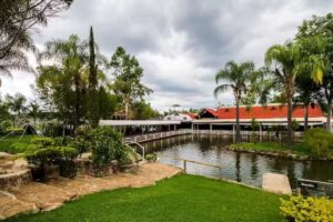 Collection O Hacienda Coyotes