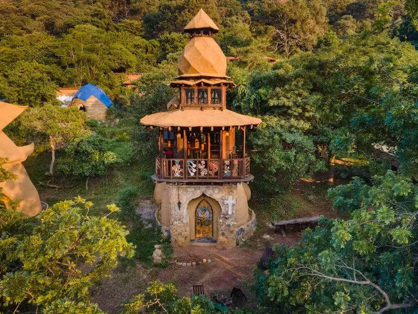 Colmena y caracol