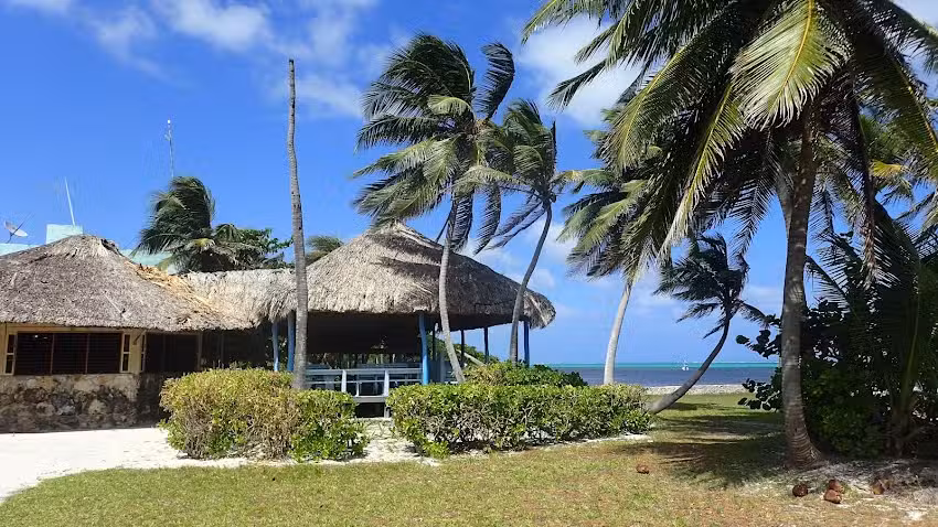 Costa De Cocos
