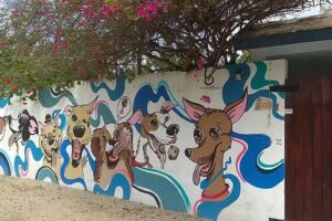 Costa Maya Hotel Canino